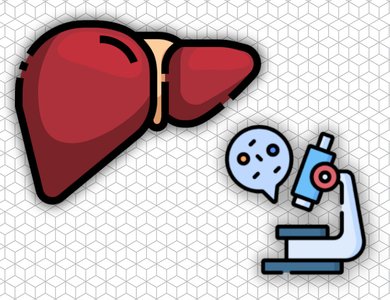 Histology of the Hepatobiliary System