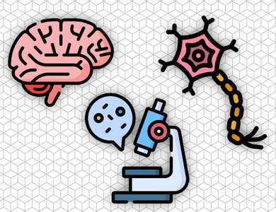 Histology of the nervous system