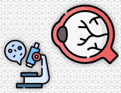 Histology of the Eye