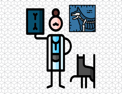 Radiography flashcards