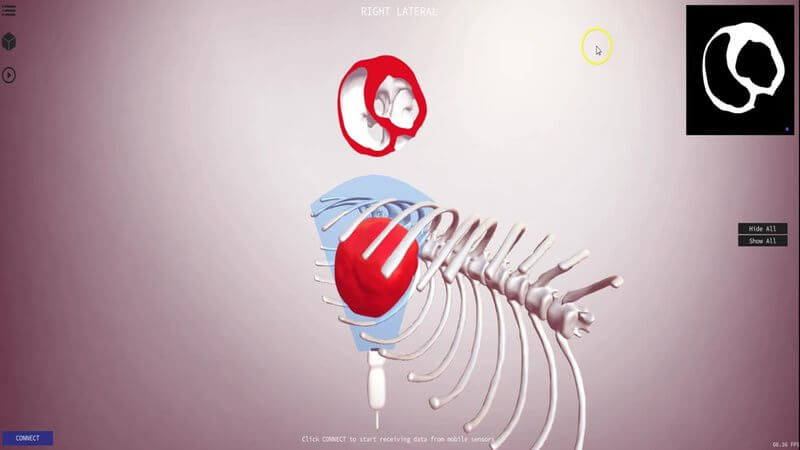 Canine echocardiography simulator in IVALA Learn showing a CT-derived heart inside the rib cage, the probe, a sliced heart section and the 2D ultrasound-style image
