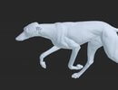 Animated 3D dog mid-stride in the IVALA Learn canine gait animations, with the gait selection panel