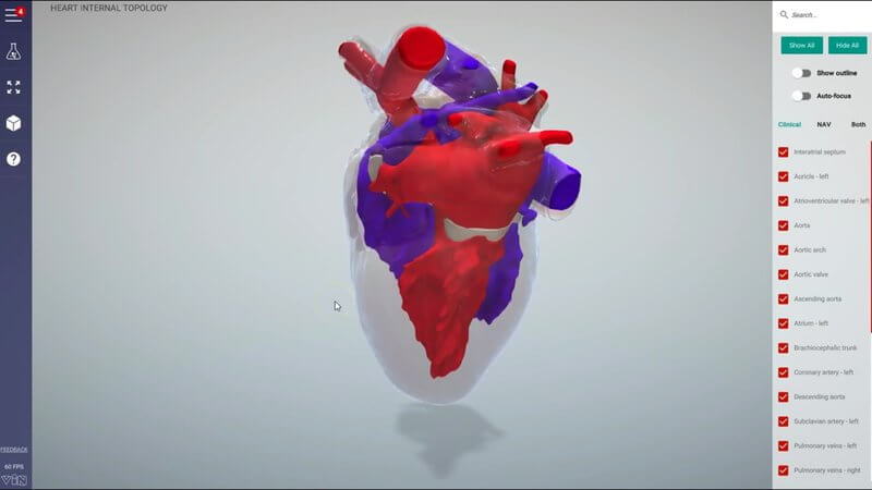 Internal anatomy of the canine heart in the IVALA Learn 3D viewer, with the left side of the circulation in red and the right side in blue
