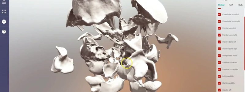 Individual bones of the canine puppy skull split apart in the IVALA Learn 3D viewer to show how they fit together