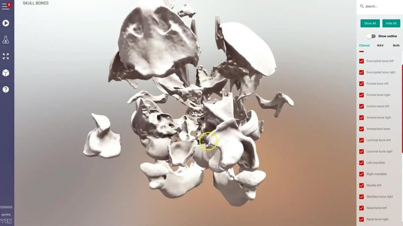 Individual bones of the canine puppy skull split apart in the IVALA Learn 3D viewer to show how they fit together