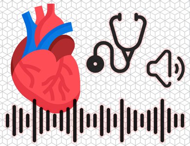 Cardiac auscultation audio