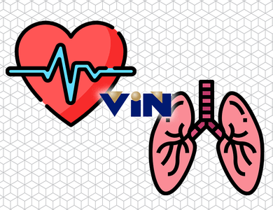 Pharmacology for cardiorespiratory conditions
