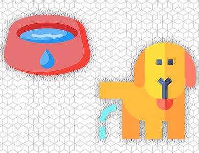 Endocrinology - Polyuria / Polydipsia