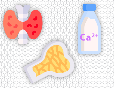 Endocrinology - Calcium Metabolism in small animals