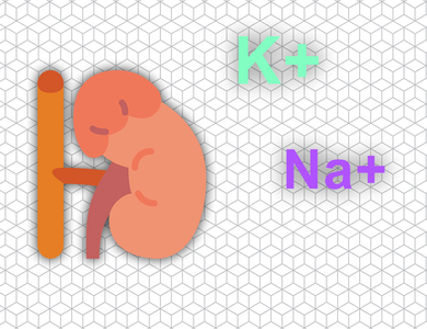Endocrinology - Hypoadrenocorticism