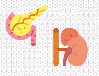 Endocrinology - syndromes of adrenocortical excess