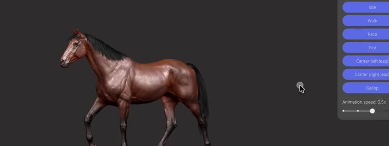 Animated 3D thoroughbred horse in the IVALA Learn equine gait animations, with the panel listing walk, pace, trot, left and right lead canters and gallop