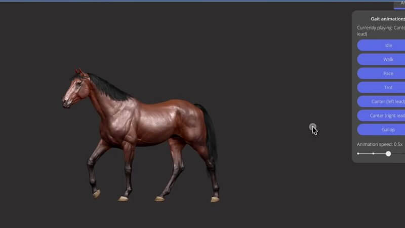 Animated 3D thoroughbred horse in the IVALA Learn equine gait animations, with the panel listing walk, pace, trot, left and right lead canters and gallop