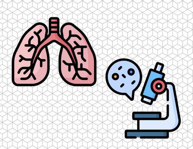 Histology of Respiratory System