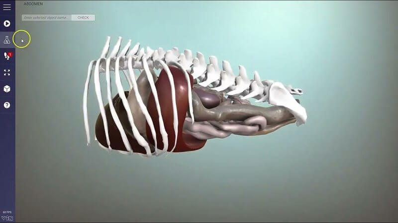 IVALA Learn 3D anatomy viewer interface showing left toolbar, object list, search and Test Yourself controls