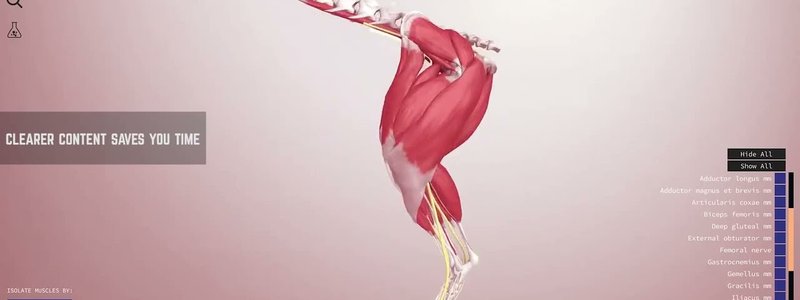 IVALA Learn beta promo frames showing 3D canine anatomy models and Test Yourself mode