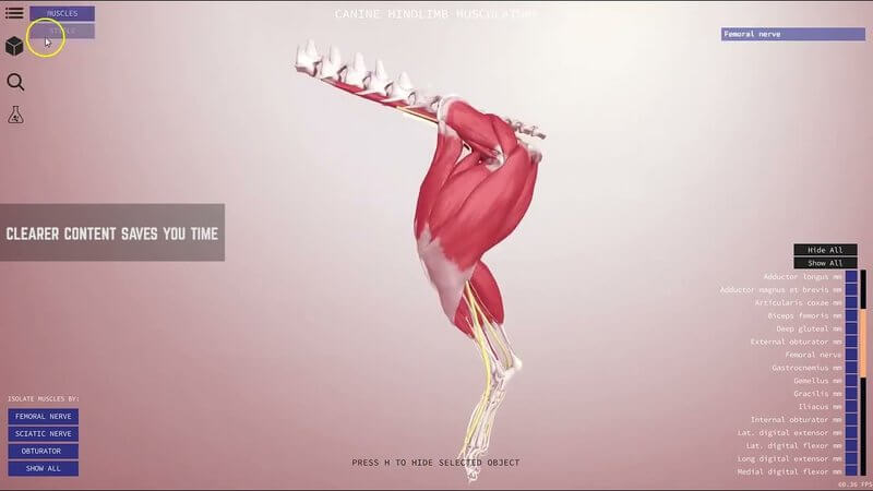 IVALA Learn beta promo frames showing 3D canine anatomy models and Test Yourself mode