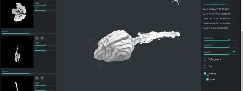 Browser-based veterinary imaging viewer showing a volume-rendered canine brain microCT study with 2D slice panels