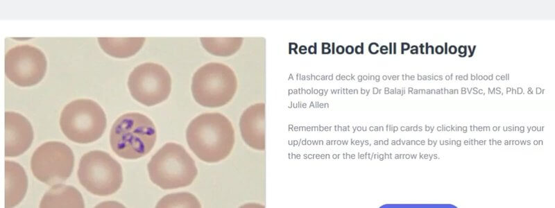 Title card of the Red Blood Cell Pathology flashcard deck in IVALA Learn, with a stained blood smear image beside the deck description