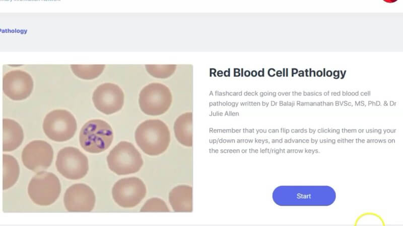Title card of the Red Blood Cell Pathology flashcard deck in IVALA Learn, with a stained blood smear image beside the deck description
