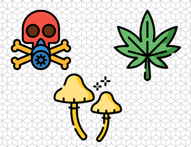 Large Animal Toxicology