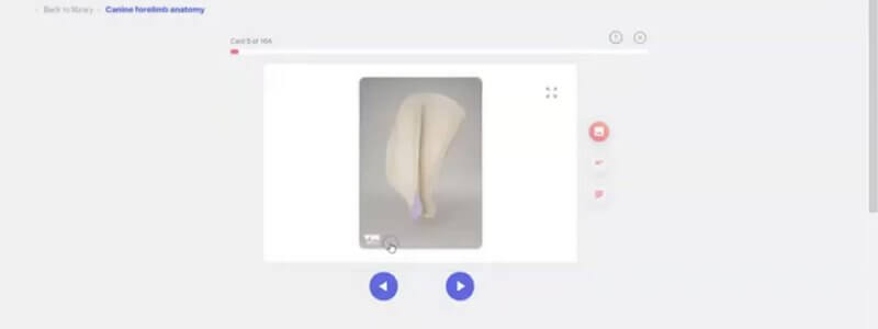 IVALA Learn digital flashcard showing an image of a highlighted anatomical landmark ready to flip