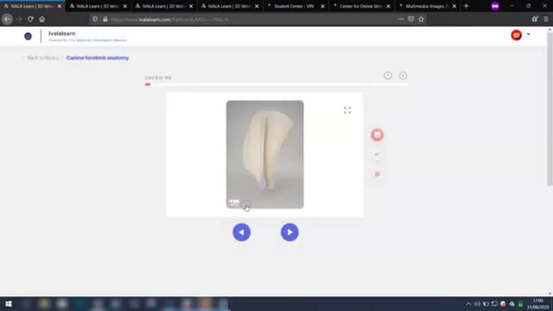 IVALA Learn digital flashcard showing an image of a highlighted anatomical landmark ready to flip